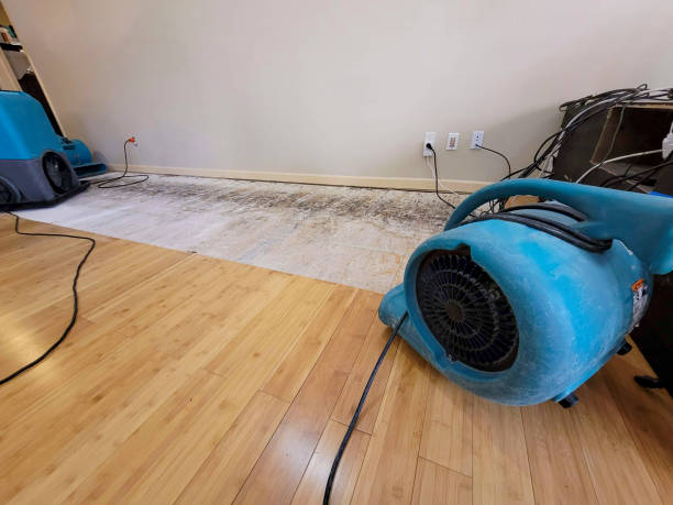 Professional Flood Damage Cleanup technician working in Oroville, WA